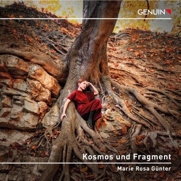 Kosmos und Fragment: Piano Works by Beethoven, Webern and Kallmeyer