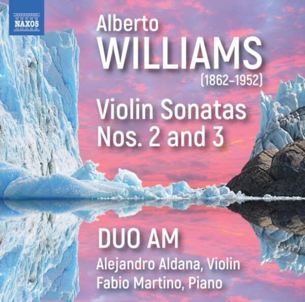 A Williams - Violin Sonatas 2 & 3 | Naxos 8579120