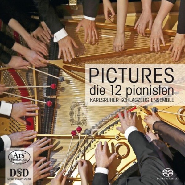 Pictures: Mussorgsky, Schnyder, Bizet, etc. | Ars Produktion ARS38125