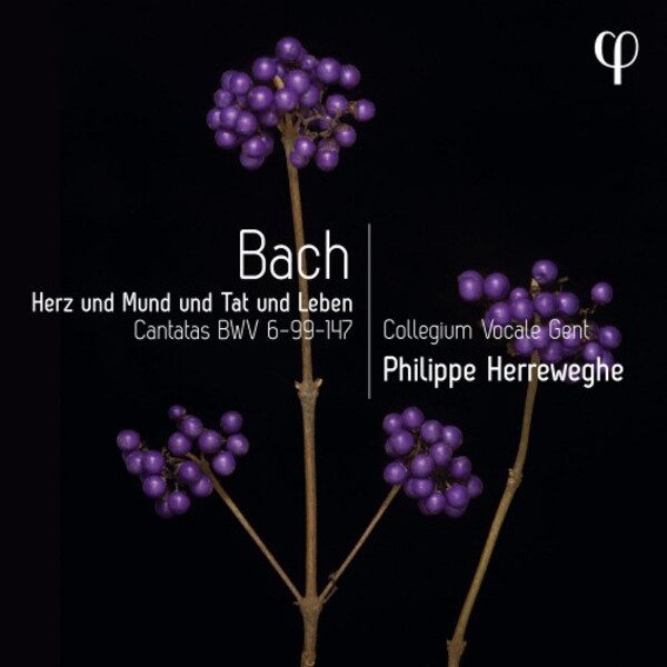 JS Bach - Herz und Mund und Tat und Leben: Cantatas BWV 6, 99 & 147 | Phi LPH041