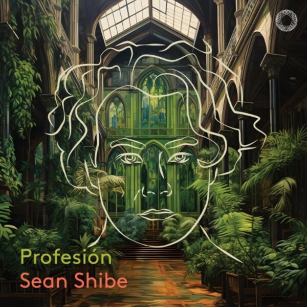 Sean Shibe: Profesion
