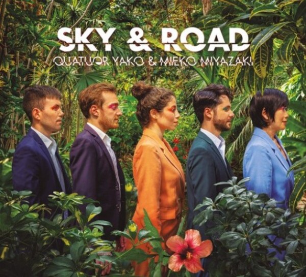 Miyazaki - Sky & Road