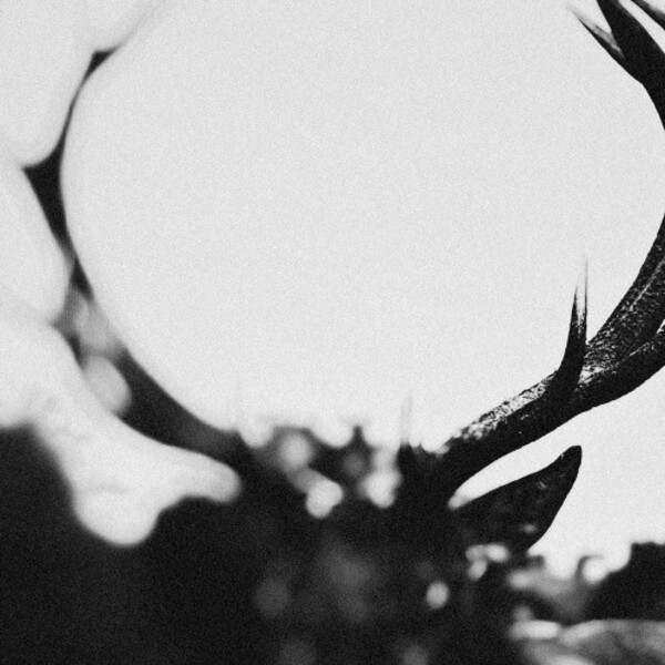 Ihsahn (orchestral version)