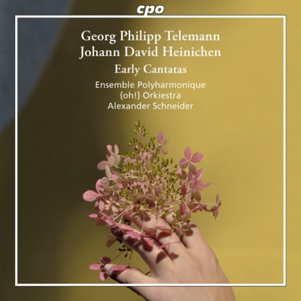 Telemann & Heinichen - Early Cantatas | CPO 5556032