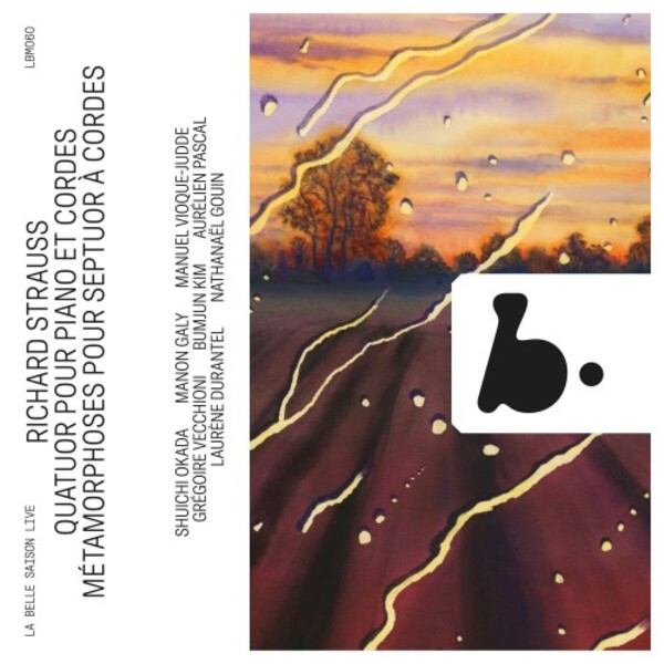 R Strauss - Piano Quartet, Metamorphosen