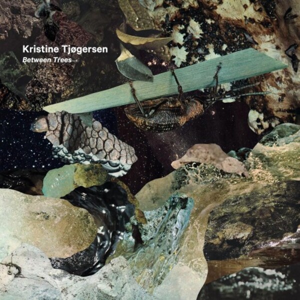 Tjogersen - Between Trees