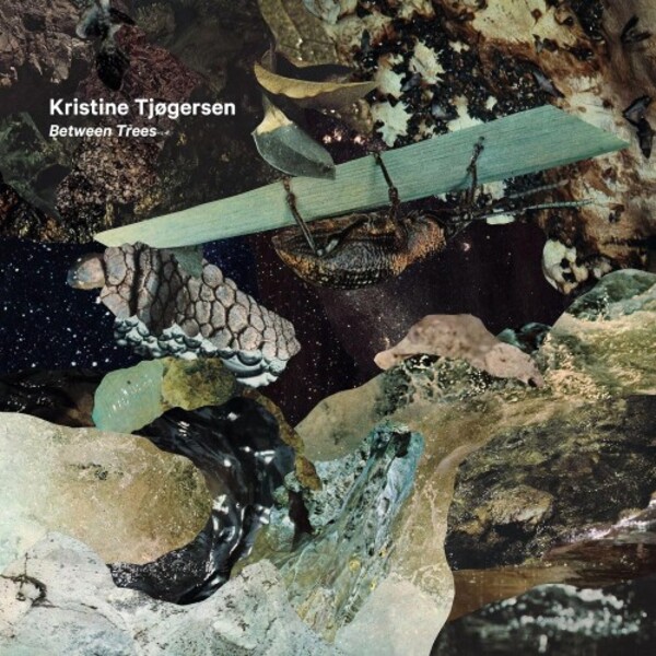 Tjogersen - Between Trees (Vinyl LP)