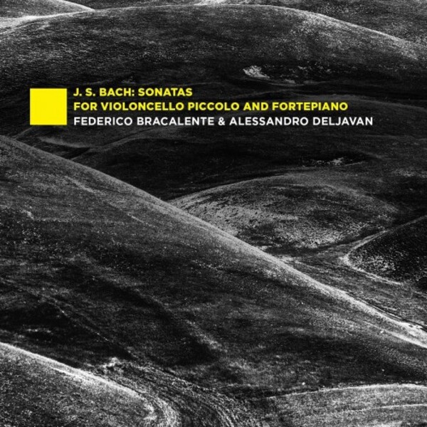 JS Bach - Sonatas for Violoncello Piccolo and Fortepiano