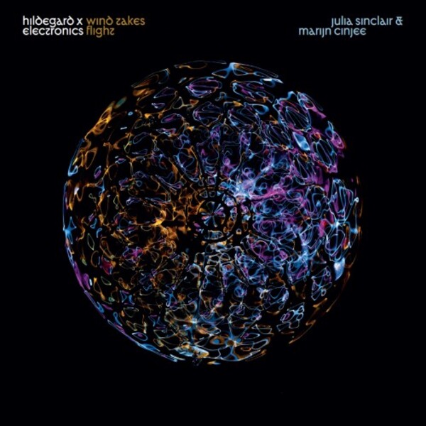 Wind Takes Flight: Hildegard x Electronics