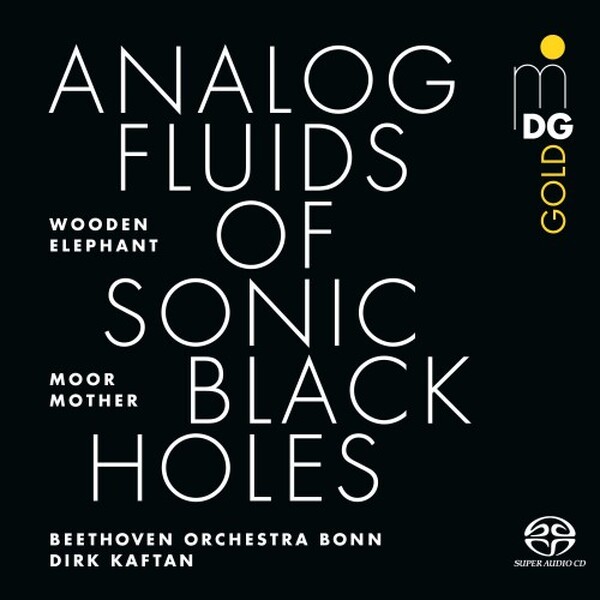 Moor Mother: Analog Fluids of Sonic Black Holes (Vinyl LP)