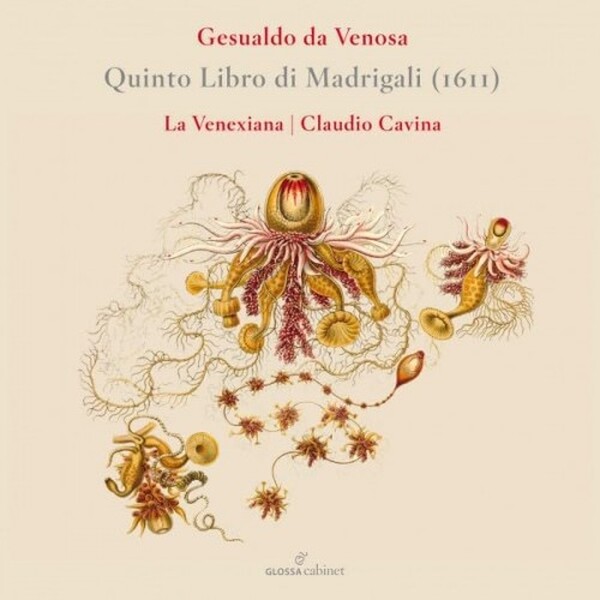 Gesualdo - Quinto Libro di Madrigali (1611)
