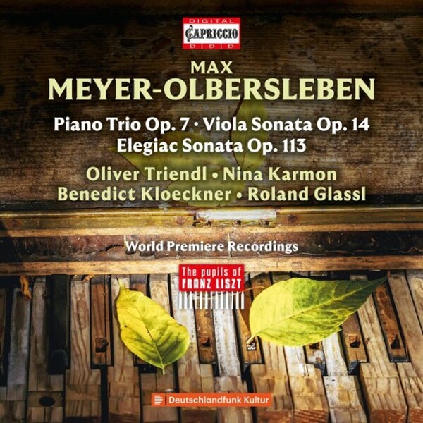 Meyer-Olbersleben - Piano Trio, Viola Sonata, Elegiac Sonata