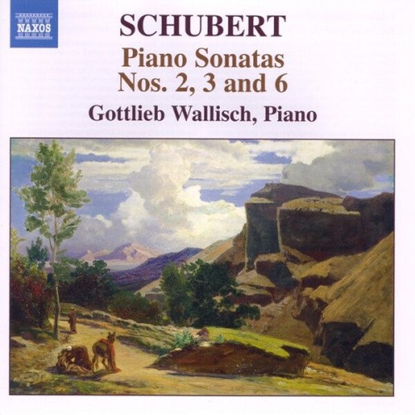 Schubert - Piano Sonatas Nos. 2, 3 and 6 (USED)
