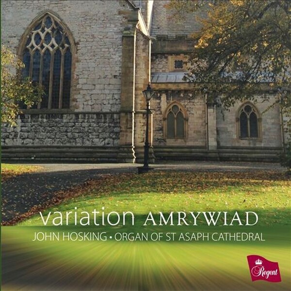 John Hosking - Variation Amrywiad (USED)
