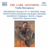 The Lark Ascending - Violin Showpieces | Naxos 8553509