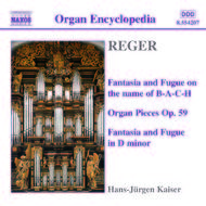 Reger - Organ Works vol. 3