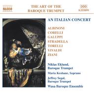 Art Of The Baroque Trumpet vol. 5 | Naxos 8555099