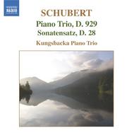 Schubert - Piano Trios | Naxos 8555700