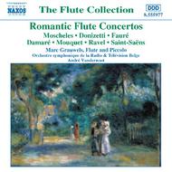Romantic Flute Concertos | Naxos 8555977