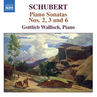 Schubert - Piano Sonatas Nos. 2, 3 and 6 | Naxos 8557639