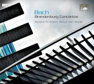 Bach - Brandenburg Concertos (complete) | Brilliant Classics 93125