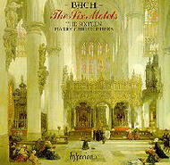 Bach - Motets | Hyperion CDA66369