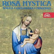 Rosa Mystica | Supraphon SU01942