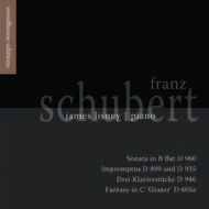 Schubert - Piano Works | Regent Records WOODCD8012