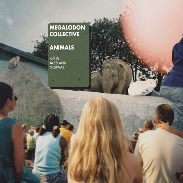 Animals - Megalodon Collective