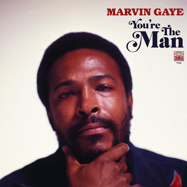 You're the Man - Marvin Gaye | Island 7716339