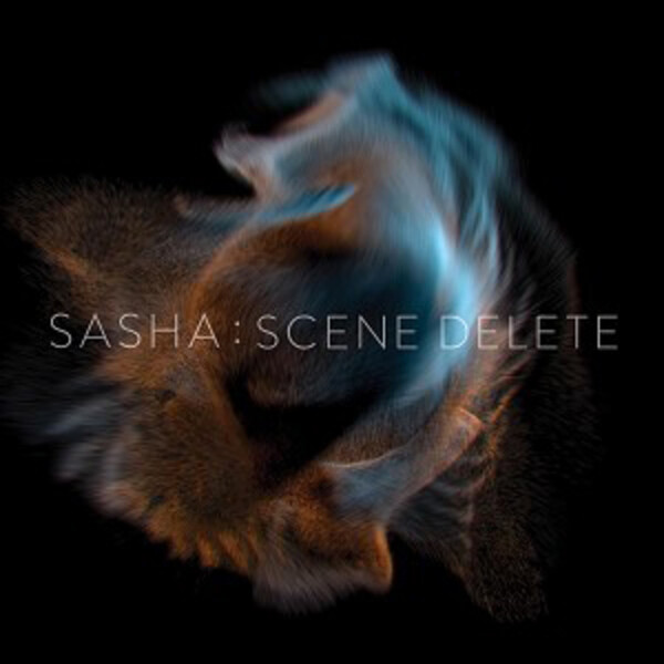 Sasha: Scene Delete - Sasha