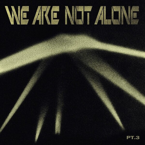 We Are Not Alone: Pt. 3 - Various Artists