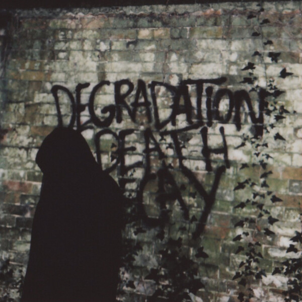 Degradation, Death, Decay - Ian Miles
