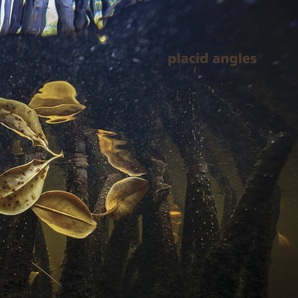 Touch the Earth - Placid Angles