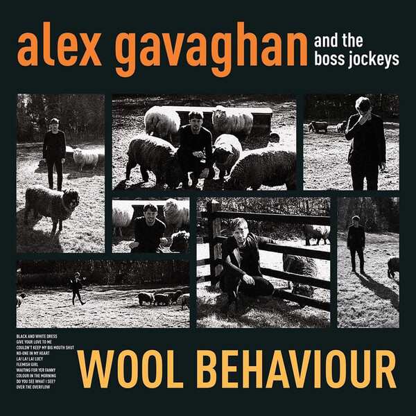 Wool Behaviour - Alex Gavaghan