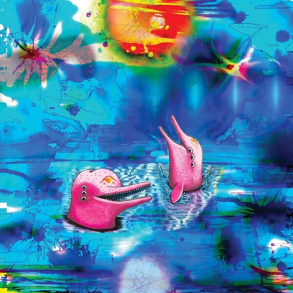 Pink Dolphins - Anteloper