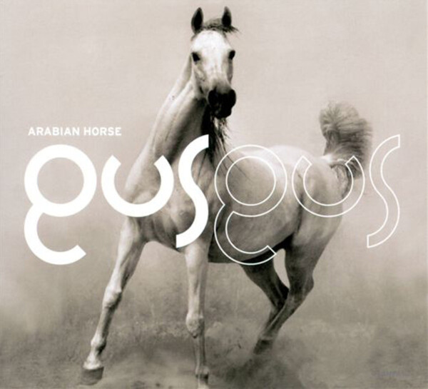 Arabian Horse - Gus Gus