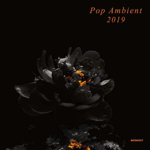 Pop Ambient 2019 - Various Artists