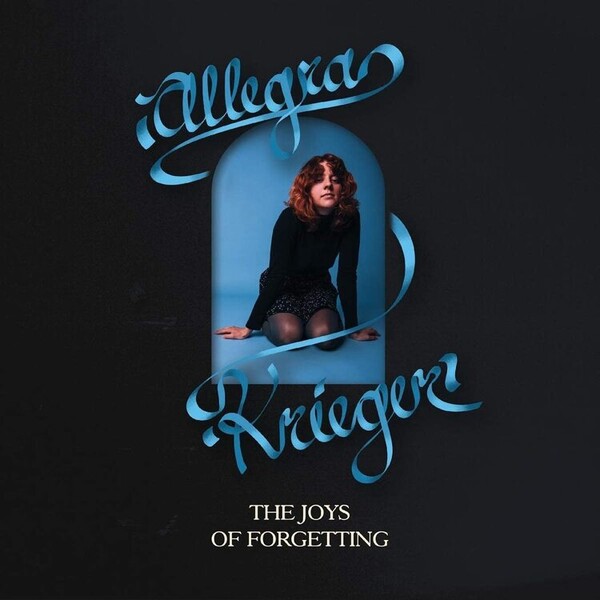 The Joys of Forgetting - Allegra Krieger