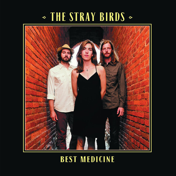Best Medicine - The Stray Birds | Yep Roc LPYEP2408