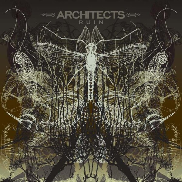 Ruin - Architects | Napalm Records NPR1129VINYL