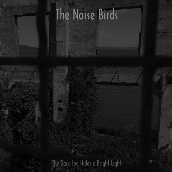 The Dark Sea Hides a Bright Light - The Noise Birds | Riot Season REPOSELP089