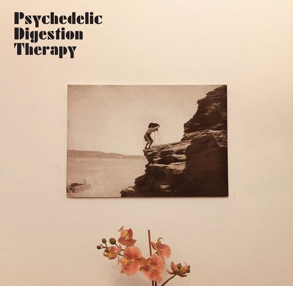 Psychedelic Digestion Therapy - Psychedelic Digestion Therapy | W&S Medien Gmbh SL109