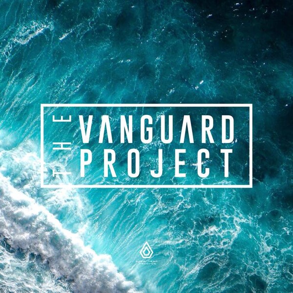 Stitches/What U Do Remixes - The Vanguard Project