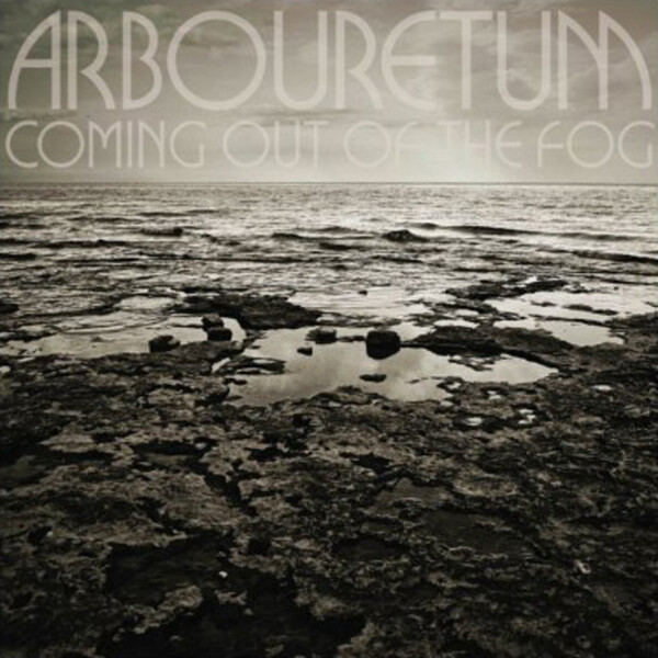 Coming Out of the Fog - Arbouretum