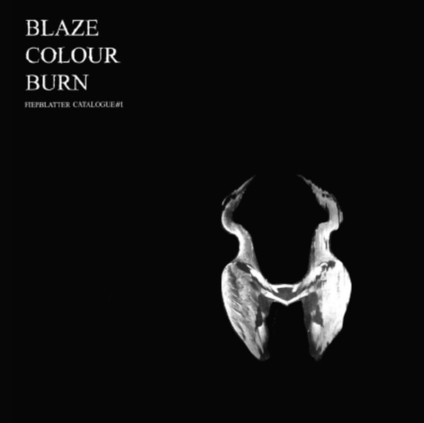 Blaze Colour Burn - Jan St. Werner | Thrill Jockey THRILL338LP
