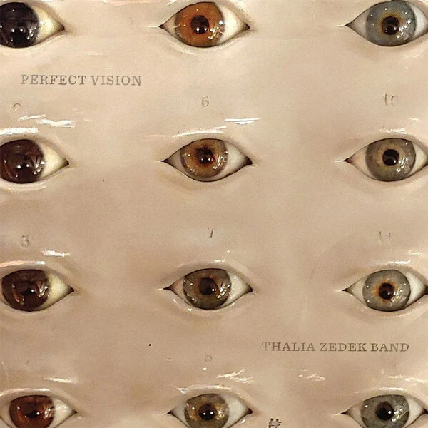 Perfect Vision - Thalia Zedek Band
