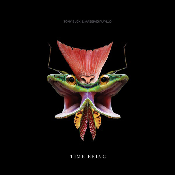 Time Being - Tony Buck & Massimo Pupillo