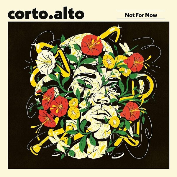 Not for Now - Corto.alto
