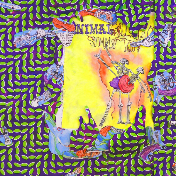Ballet Slippers - Animal Collective